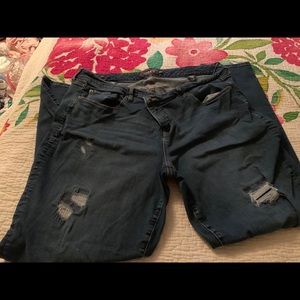 Torrid plus size skinny distressed Jeans Xtra Tall